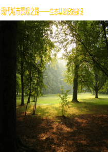 现代城市景观之路生态基础设施建设