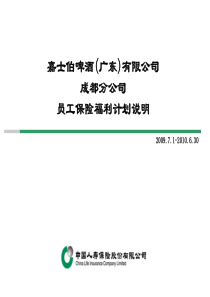 XXXX中国人寿商业保险介绍