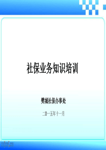 XXXX养老保险辅导