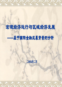 XXXX宏观经济运行与区域经济发展-基于国际金融风暴背景