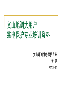 砚山县调大用户继电保护专业培训资料