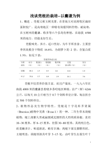 浅谈莞根的栽培