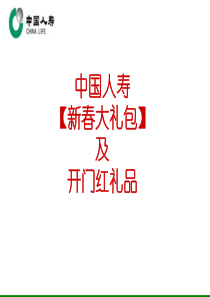 XXXX年保险新春大礼包-国寿总公司