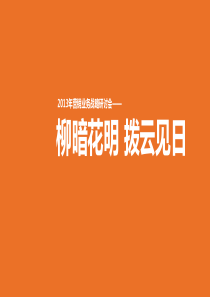 XXXX年保险行业前景展望