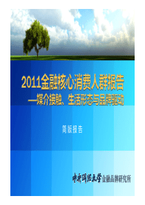XXXX金融核心消费人群报告(媒介接触、生活形态与品牌驱动)简版