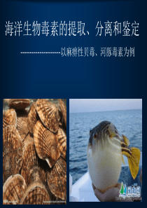 海洋生物毒素的提取.