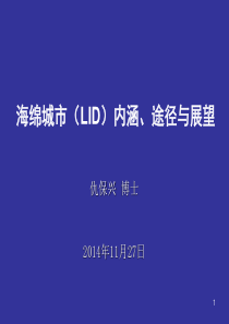 海绵城市(LID)内涵途径与展望.