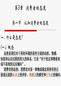 消费者态度.