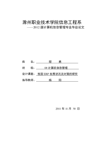 程勇毕业论文-我国ERP发展状况及对策的研究