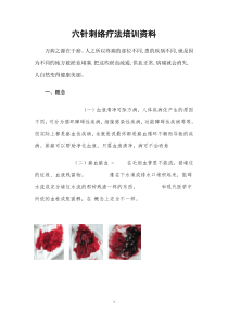 穴针刺络疗法培训资料