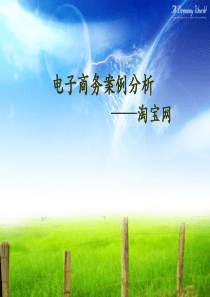 淘宝网案例分析.