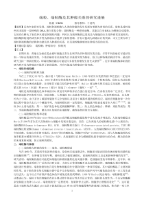 端粒酶与肿瘤的研究进展