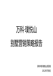 深圳_万科璞悦山_别墅营销策略_hz2016