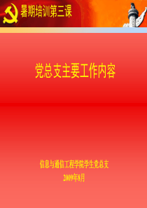 第04课党总支主要工作内容
