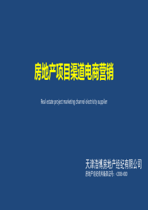 渠道电商策划方案1