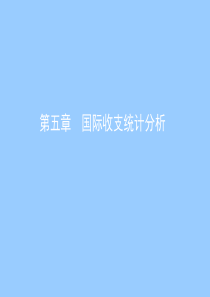 《金融统计分析》第五章国际收支统计分析