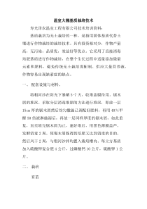温室大棚基质栽培技术