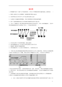 湖南省长沙市长郡中学2016届高三生物一轮复习 寒假作业19 综合四