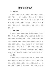 湿地松栽培技术
