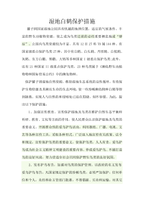 湿地白鹤保护措施