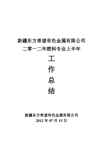 电厂燃料2012年工作总结