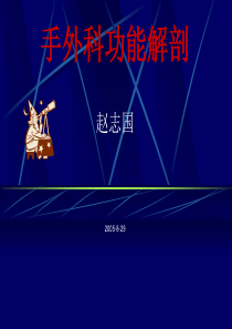 手外科功能解剖ppt课件