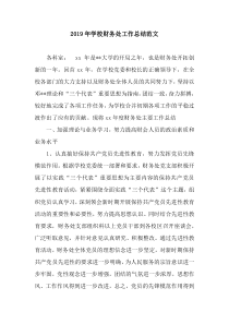 2019年学校财务处工作总结范文