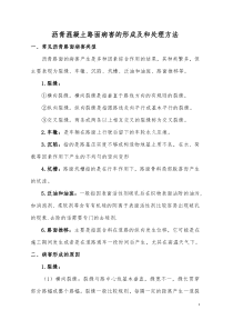 沥青混凝土路面病害的形成及和处理方法