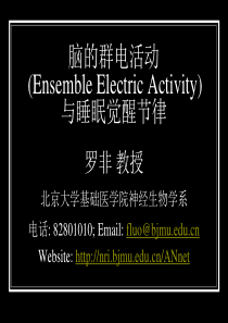 7脑的电活动睡眠与觉醒