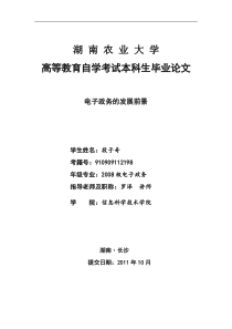 电子政务的发展前景