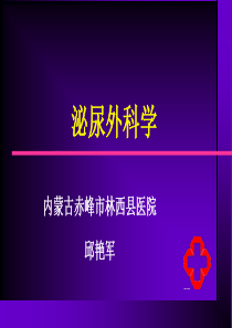 泌尿外科学总汇幻灯