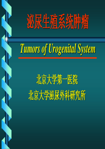 泌尿生殖系统肿瘤--北大.