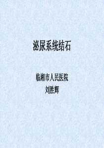 泌尿系统结石.