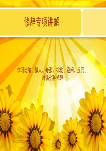 小学语文修辞专项讲解——ppt.