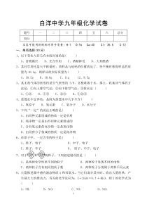 白洋中学九年级化学试卷