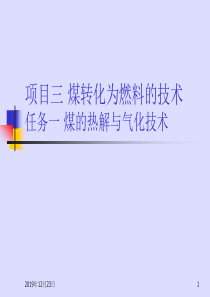 洁净煤燃烧技术煤的热解与气化