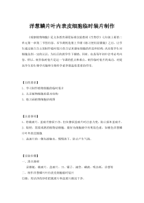 洋葱鳞片叶内表皮细胞临时装片制作