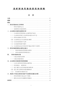 浅析财务风险的防范和控制会计学毕业论文