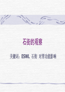 石街的观察