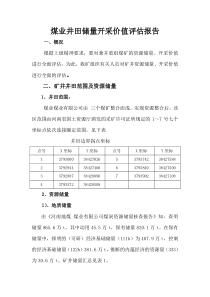 矿井资源储量开采价值评估报告doc2