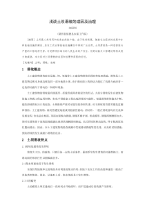 浅谈土坝的滑坡治理