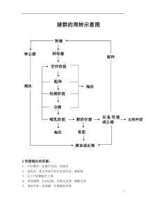 母猪生产管理