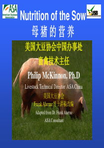 母猪的营养-Frank_Aherne博士