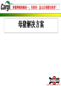 母猪解决方案.