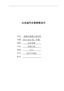 比亚迪营销策划书终极版