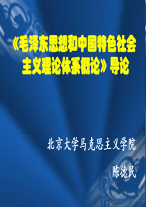 毛特理论导论.