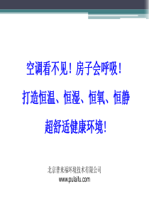 毛细管网