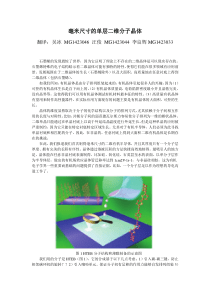 毫米尺寸的单层二维分子晶体