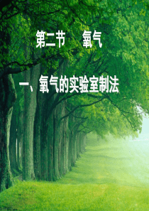 氧气的性质.