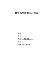 水准实习报告